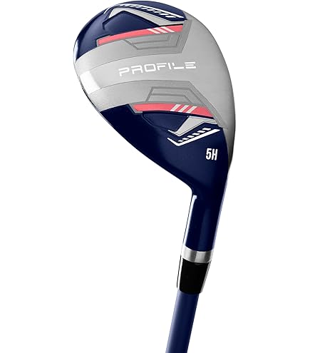WILSON Fer à Golf ProStaff SGi Graphite 6 Homme Droite Argent, Noir, Graphite, Standard, Iron, Débutants, Joueurs Récréatifs, Hommes, 30 Degrees