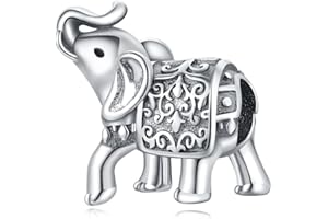 PANPOKI Charms Anhänger aus 925er Sterlingsilber, Bead Charm für Damen, kompatibel mit europäischen Armbändern und Halsketten