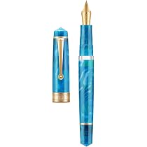 Asvine Hongdian 920 - Penna stilografica in metallo, con pennino extra fine, colore: viola, con convertitore ricaricabile e sacchetto per penne