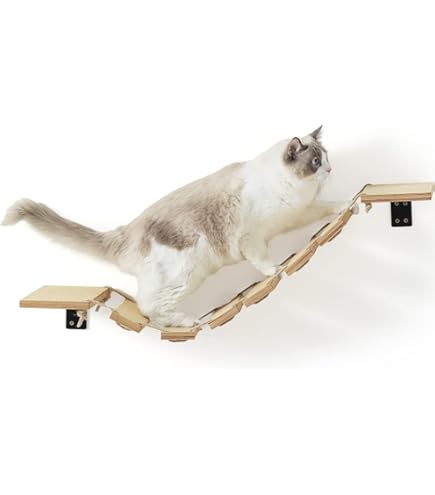 RshPets® Gevlochten kattenhangmat met 3 treden, wandelementen, kattenhangmat, aan de muur gemonteerd kattenmeubel, kattenbed, muur, kattenklimwandset (donkere kleur