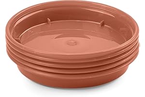 Whitefurze G04114 Garden Pot Saucer for 7.5/ 10cm Pot - Terracotta (Set of 5)