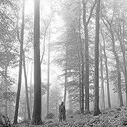 folklore (deluxe version) [Explicit]