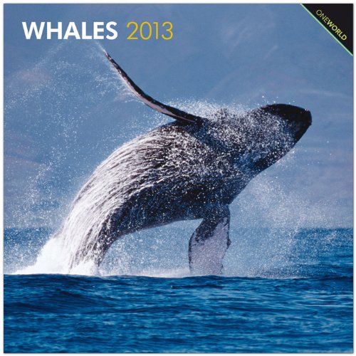Whales 2013 - Wale - Original BrownTrout-Kalender