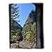 Produktbild Portemonnaie Geldbörse Brieftasche // F00003573 Außenanlagenbaum Konifere Landschaft // Medium Size Wallet