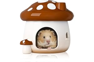 BUCATSTATE Hamster Hideout Céramique Champignon Hamster Maison et Habitat Lit Frais Idéal pour Toutes Les Saisons Hamsters Nains Gerbilles Ours doré (Marron-Grand)