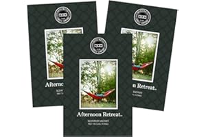 BRIDGEWATER CANDLE BRIDGEWATER - 3 pack of Afternoon Retreat - Scented Sachet Bag, Drawer Fragrance, Wardrobe Air Room Freshener for Living Room Bedroom Bathroom Laundry or Car - Moss, Teak, Sandalwood, Amber, Bergamot