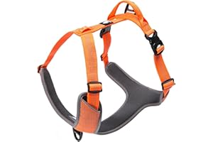 TRUE LOVE Harnais pour Chien Réglable Réfléchissant sans Traction Gilet Durable pour Animaux de Compagnie Voyage en Voiture Extérieur TLH6071(Orange,XL)