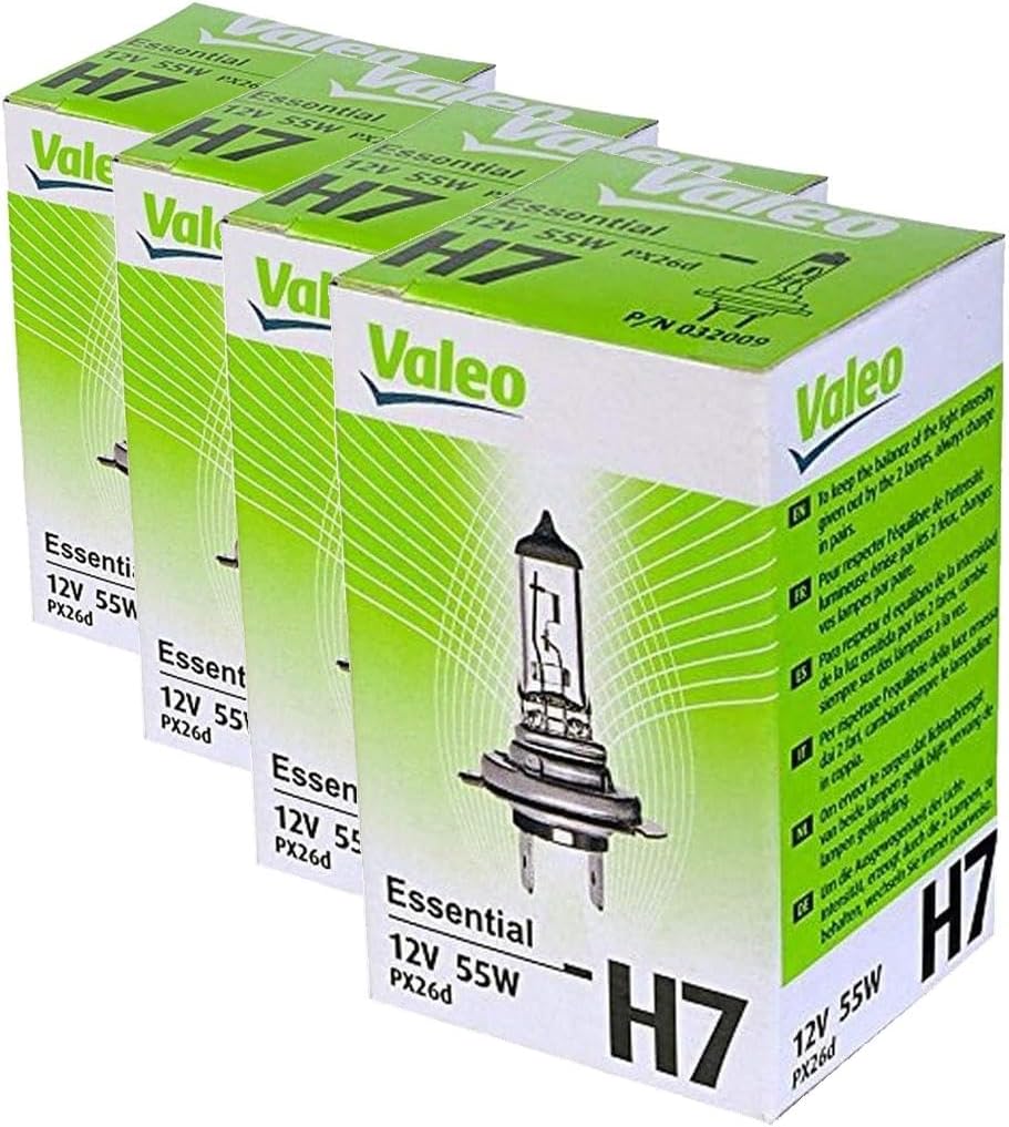 Vue 10