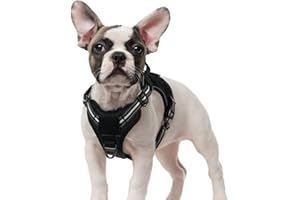 rabbitgoo Harnais Chien Anti Traction, Harnais Tactique Chien Réfléchissant Réglable avec Poignée et Anneaux, Gilet Solide Facile à Mettre, Harnais Chien Militaire pour Entraînement Chasse, Noir, S