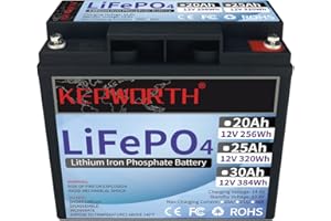 DEESPAEK Batteria al Litio da 20 Ah 12 V, Estensibile LiFePO4 Batterie a ciclo profondo, 256Wh, Ricaricabile con Energia Solare, Perfetta per Sistemi Off-grid/ecoscandaglio/Camper