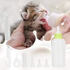 kitten bottle replacement nipples