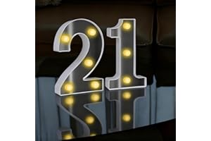 SRVILLG LED Light Up Numbers Sign, LED Number Lights, Cool & Warm Light up Numbers for 21st Birthday Decorations, for Birthday Party Night Lights Anniversary Backdrop Home Decor (White-21)