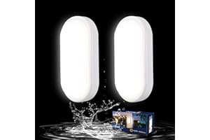 Letlit LED Lámpara de Techo Lámpara de Sótano 2PACK, 12W 1200LM LED Lámpara de Pared Lámpara de Techo Ovalada, IP54 Lámpara de Pared Netural Blanco Luz de Sótano para Sótano Pasillo Escalera Garaje