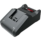 Bosch Ak&uuml; Sarj Cihazı, 36V