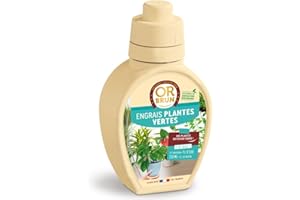 OR BRUN Engrais Plantes Vertes - 250ml - Favorise La Croissance & Fortifie Les Plantes - Fabriqué En France - Utilisable En Agriculture Biologique OBRECLPLINTER250