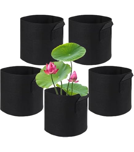 Lot De 6 Paniers De D'étang, Pots Aquatiques Flottants, 20 X 20 X 20 Cm