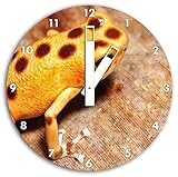 Orangner imagen de la rana en el reloj de pared con el blanco embotar las manos y la cara, de...