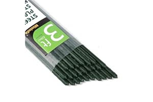 Mininfa Green Metal Garden Plant Stakes 90cm(3ft) x 11mm, 25 Pack, Plastic Coated Steel Garden Canes Supports Climbing for Tomatoes, Trees, Beans, 25 Pack