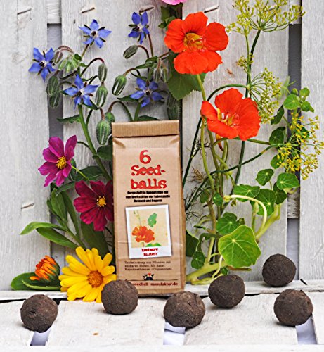 Seedballs Essbare Blüten 6er