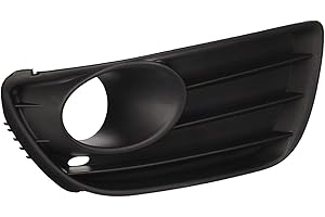 RAS RICAMBI AUTO STORE Griglia destra paraurti anteriore con sede fendinebbia, compatibile con FIAT PUNTO dal 04/2003