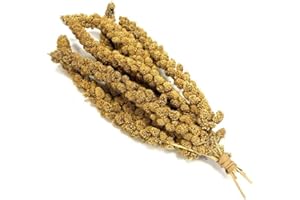 MALTBYS' STORES 1904 LTD Millet Sprays x 200g (approx 5-8 sprays) Premium Cage Bird Food Seed