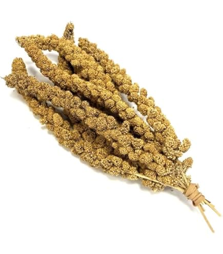 Extra Select Millet Sprays - Yo Pet