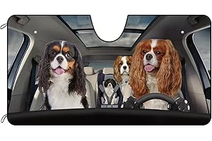 BAGEYOU Parasole anteriore per auto, motivo: Cavalier King Charles Spaniel, decorazione per la famiglia, parasole per veicoli, protezione dai raggi UV, per mantenere il veicolo fresco, 140 x 76 cm