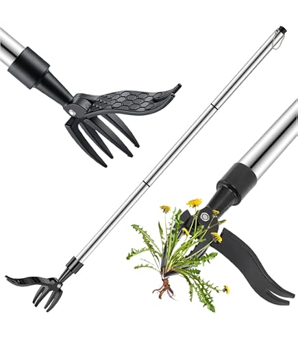 Fix Rainurage Beetfix Comprenant Manche Télescopique Grattoir à Joints Neuf EBay