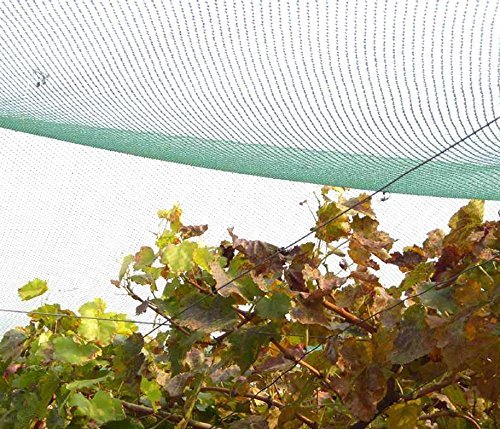 Vogelschutznetz für Vögel oder Kleintiere / Dauerhaft & Lasttragende Material, um Pflanzen, Bäume und Sträucher Schützen (4 * 10 M Grün und Engmaschig) - 7