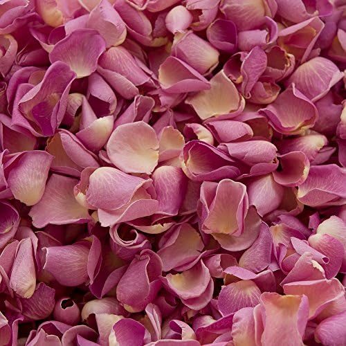 Biodegradable Rose Petal Wedding Confetti (Lilac, 1 Pint)
