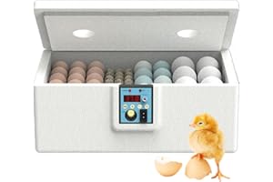 FIERUDENG Brutautomat Eier Inkubator, Inkubator Brutautomat Halbautomatischer Für 10-25 Eier, Geflügel Brutmaschine, Intelligenter Brutkasten, manuell gewendet werdefunktion Für Geflügelhaltung