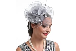 TOPOQ Women Fascinators Hat Organza Flower Fascinators Wedding Fascinators Tea Party Hat Flapper Pillbox Fascinator Hat Derby Ascot Hat with Headband Hairclips Headdress Headpieces