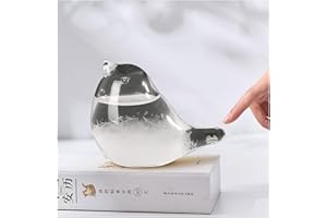 SUNJULY Storm Glass, Unusual Gifts Women Ladies,Weather Stations Weather Forecaster Barometer for Valentines Day Gifts, Unique Gifts for Women