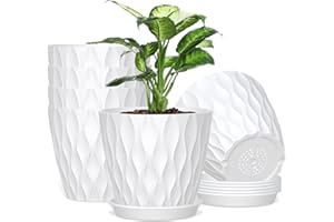 HOMEUOUZ 12.5cm Plant Pots, 6 Pack Plastic Flower Pots with Drainage Holes and Saucers, Indoor Outdoor Planters for Succulent and All House Plants(White)
