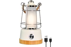HARPER LIVING Uppladdningsbar LED-lykta i retrostil, 6 W, 370 lumen, 5 000 mAh, dimbar, färgskiftande LED-lykta för vardagsrum, trädgård, camping, fiske