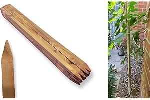 KOOLIST Wooden Garden Stakes, 900 mm by 25 mm Pk 12 Square Section for Tree Support, Garden Edging, Log roll, Gravel Board Support or Builders Marking Out Stakes