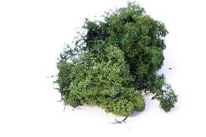 Finland Moss Dark Green 500g bag Smithers Oasis by Smithers Oasis