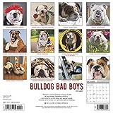 Image de Bulldog Bad Boys 2017 Calendar