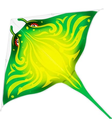 Mint's Colorful Life Delta vliegvlieger voor kinderen en volwassenen, extreem eenvoudig te vliegen kite, beste kite voor beginners