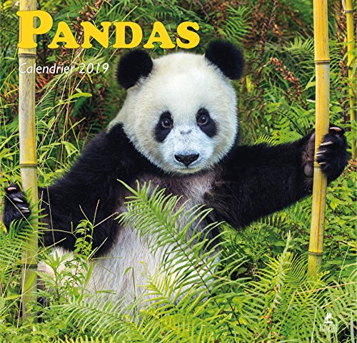 Télécharger Pandas - Calendrier 2019 livre En ligne