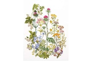 THEA GOUVERNEUR SINCE 1959 Thea Gouverneur - Counted Cross Stitch Kit - Herbs - Aida - 18 Count - for Adults - 424A