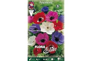 PRGA BULBI AUTUNNALI ANEMONE DE CAEN MIX CONFEZIONE DA 20 BULBI BULBS BULBES
