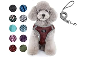 Szelki dla małego psa Dociote Anti Traction, Uprząż i Smycz dla Psa Ultralekka Odblaskowa Uprząż Szczeniaka Oddychająca Kamizelka dla Kota, Małe Średnie Psy Uprząż dla Psa do chodzenia Czerwona S