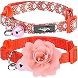 Blueberry Pet Doppelpack Der Reiz der Komplettlösung Perfektes Orange Verstellbares Breakaway Katzenhalsband mit Glöckchen & Abnehmbarer Blumendeko, Hals 23cm-33cm