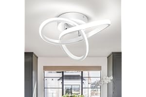 EIDISUNY Ceiling Light LED Lamp 2 Rings Creative Personality Nordic White Ceiling Lighting for Entrance Hallway Lights Ceiling Living Room Cool White Light 22W - White, Cold White Light 6000K