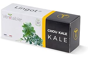 Lingot® Chou Kale Bio - Compatible Potager d'Intérieur Véritable® et Exky® - Recharge prête à l'emploi - Substrat avec Graines Intégrées…