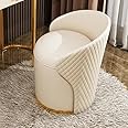 T&T Co Light Luxury 360 Degree Rotating Makeup Bench Bedroom Dressing Table Stool Storage with Backrest Round Stool Makeup Chair Leisure Ottoman Vanity Stool (Design 4, 1 Stool)