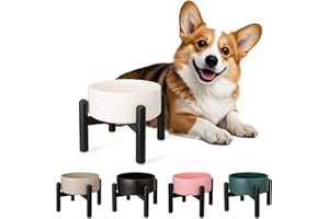 PTOBER Comedero Perro Elevado de Cerámica - Cuenco para Perros Pequeños y Medianos - Plato Comida con Soporte de Acero Inoxidable - 850 ml - Blanca