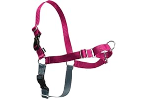 PetSafe Easy Walk - Pettorina Anti-Tiro per Cani, per l'Addestramento, Impedisce al Cane di Tirare e Strozzarsi - Lampone, M