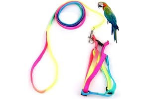 Hypeety Pet Bird Harness and Leash with Buckle Adorable Rainbow Design Safe Parrot Leash Pet Harness Outdoor Adjustable Anti Bite Training Rope for Macaw Large Size Bird (L: 1.5cm × 47.24in)